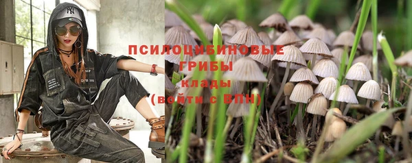 спиды Елизово