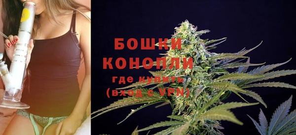 спиды Елизово